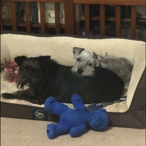 Meet your Posher, Patricia